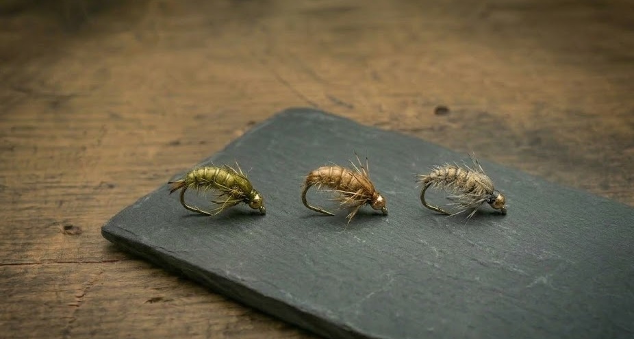 caddis larva